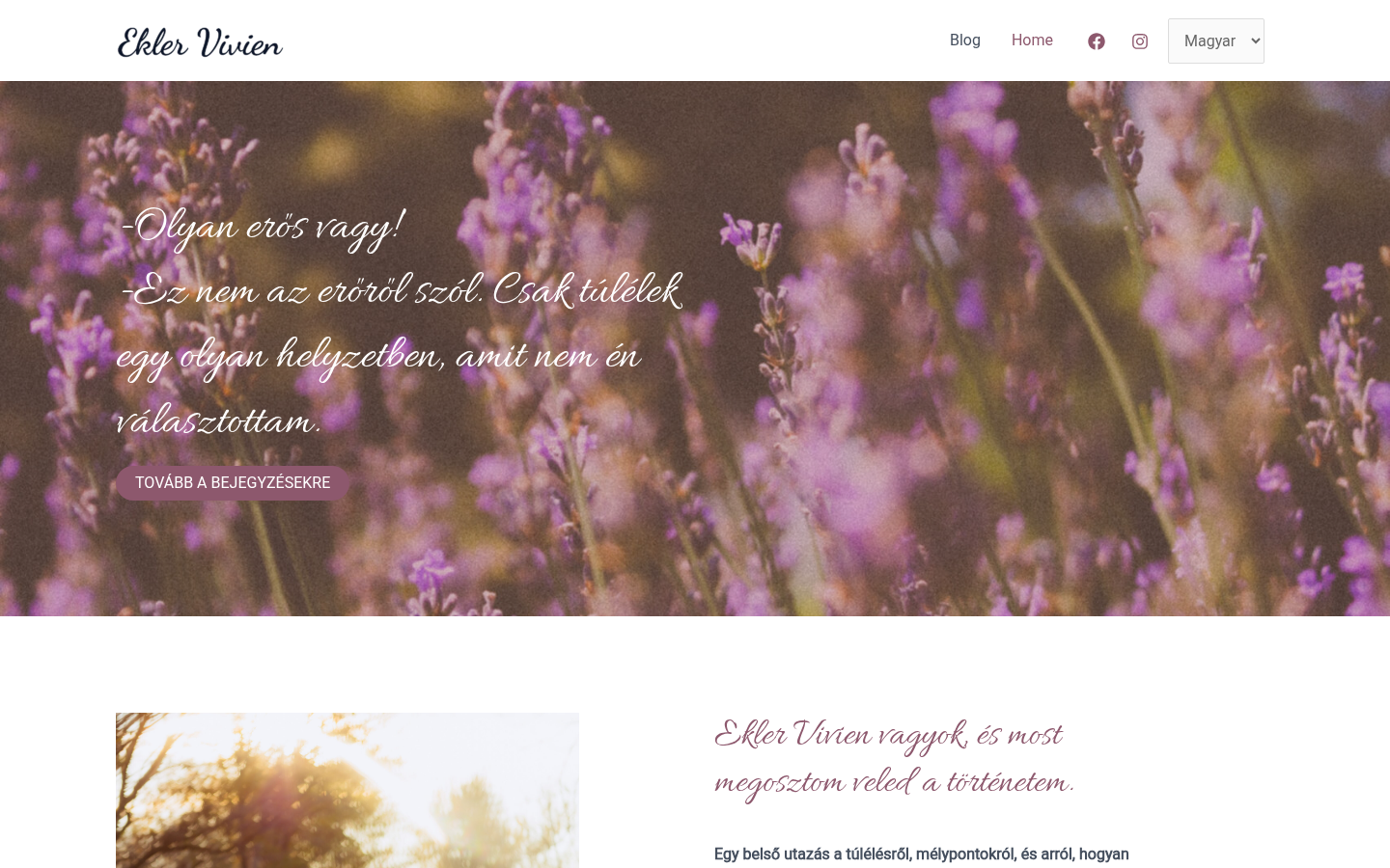 Vivien Ekler Blog homepage preview